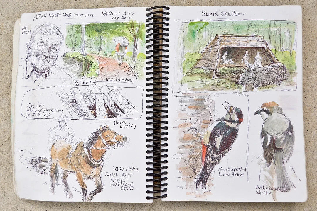 Nature Sketch Tutorials