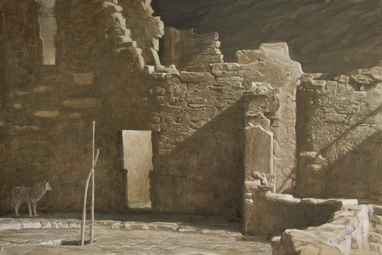 Mesa Verde - Coyote