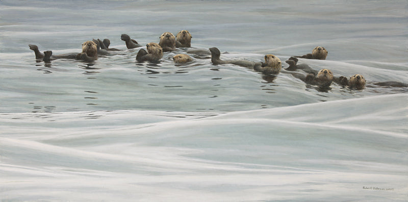 Sea Otters