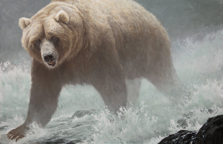 Russian Brown Bear