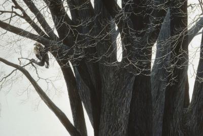 State of Wildlife Art