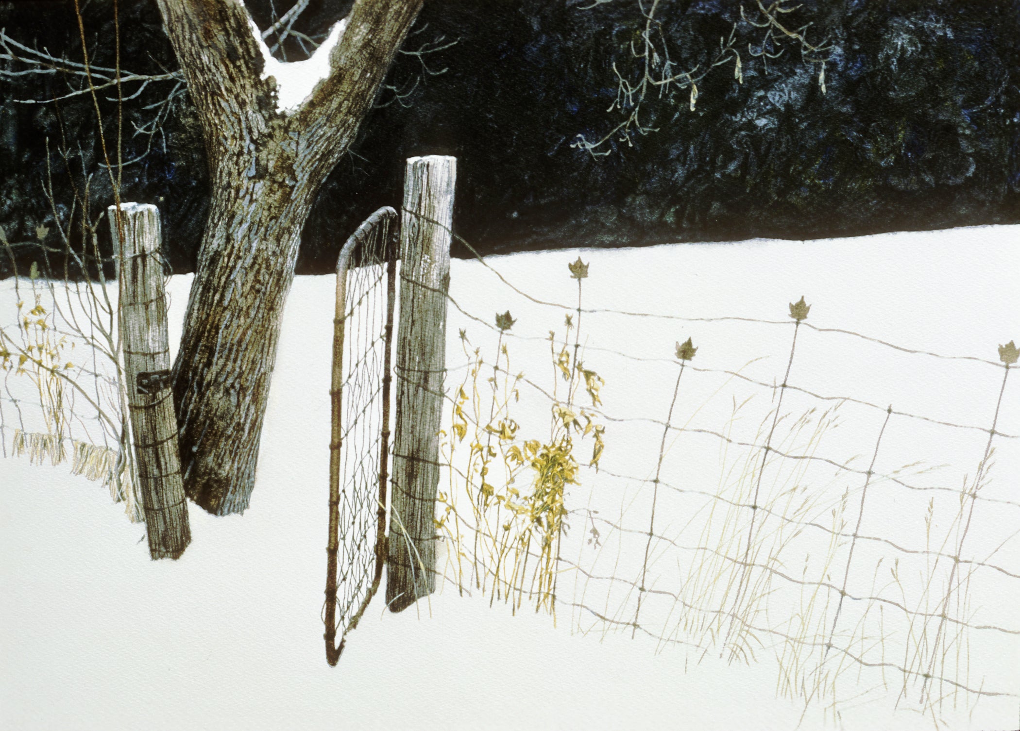Maple Leaf Fence