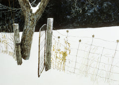 Maple Leaf Fence
