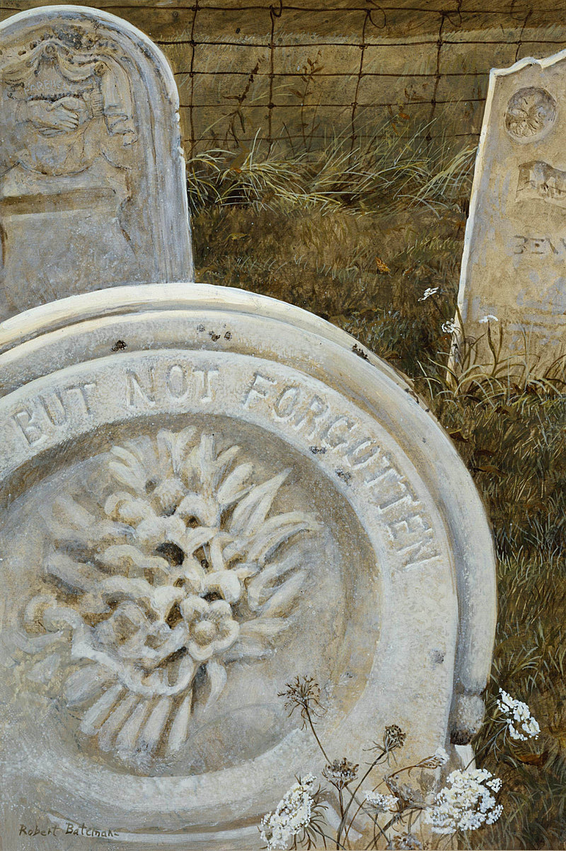 But Not Forgotten