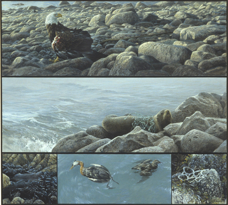 Wildlife Images