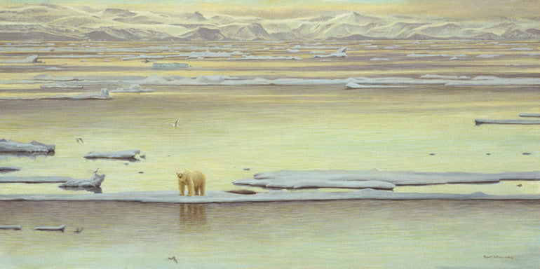 Arctic Ice - Polar Bear