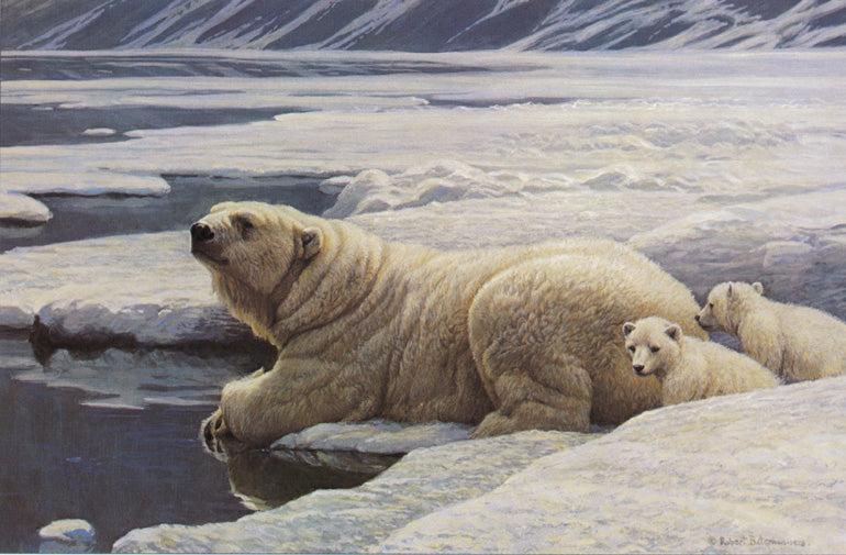 Arctic Family