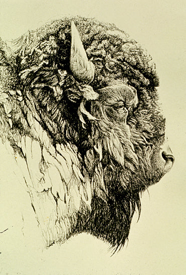 Ruminants