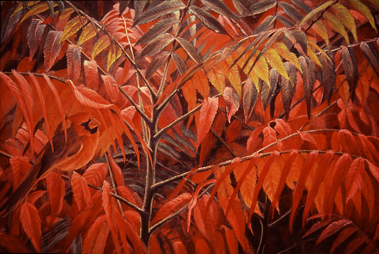 Cardinal and Sumac