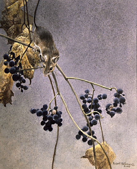 Deer Mouse & Wild Grapes