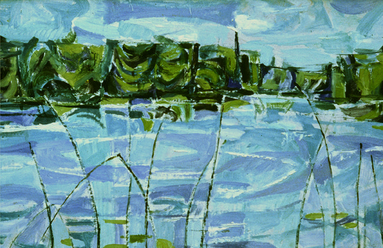 Dragonfly Country