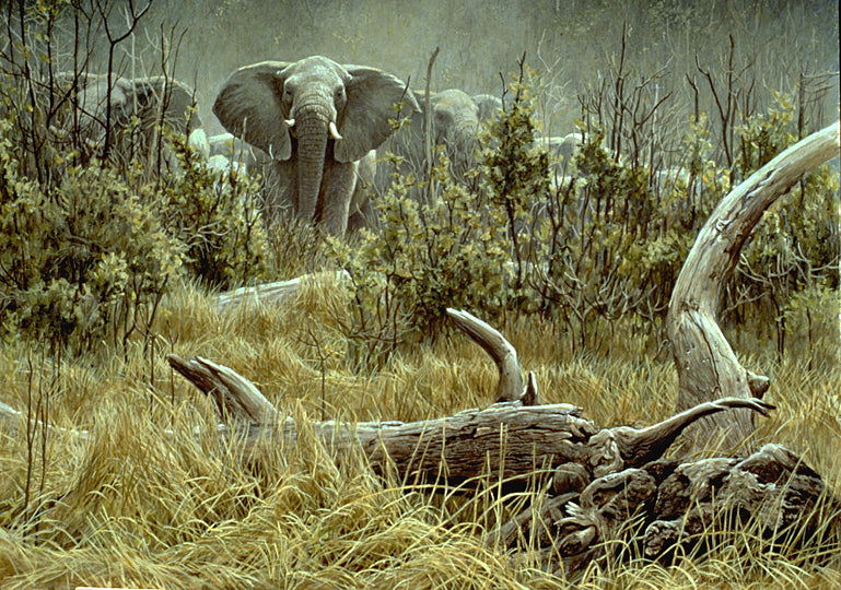 Elephant Herd and Log