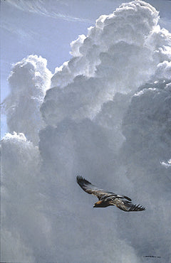 Flying High – Golden Eagle