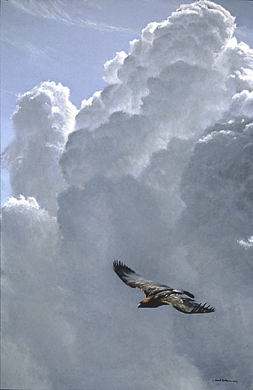 Flying High – Golden Eagle