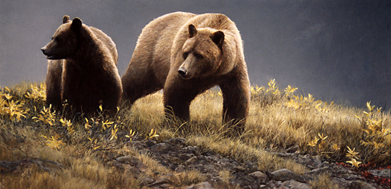 Alaska Light - Grizzly Bears