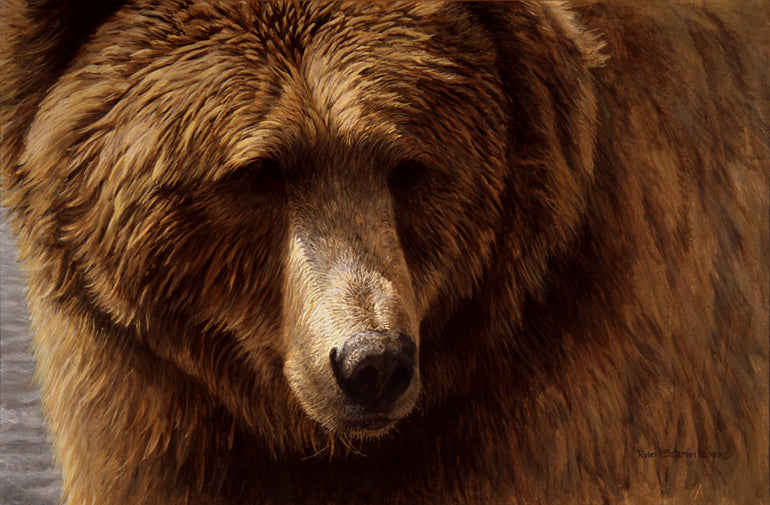 Grizzly Portrait