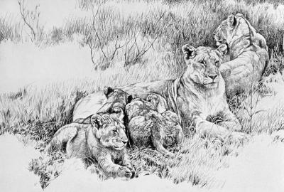 A Question of Prints
