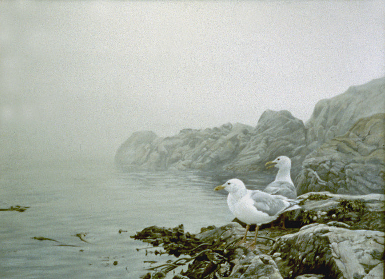 Misty Coast - Gulls