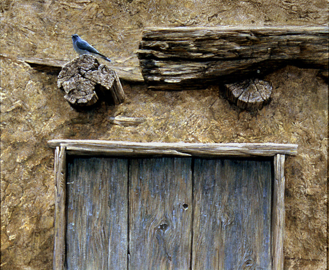 Mountain Bluebird at Taos