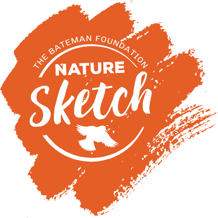 Nature Sketch