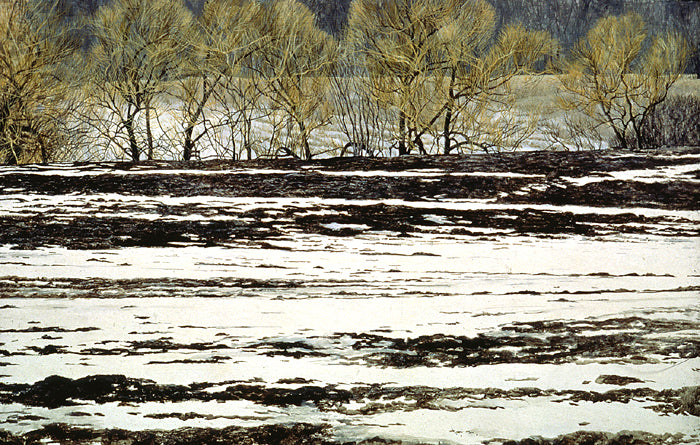 Plowed Field