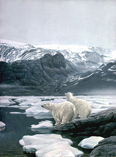 Polar Bears at Baffin Island