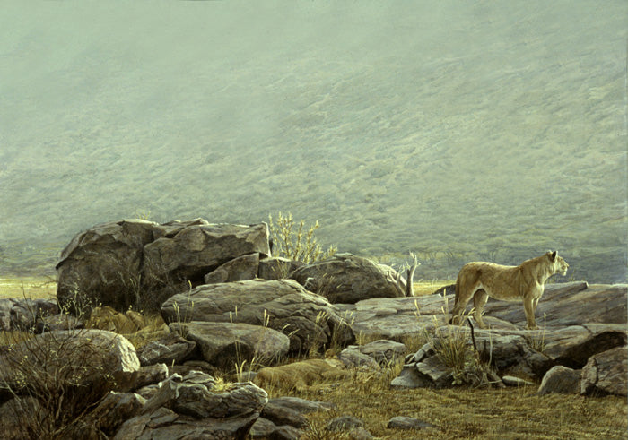 Pride of Lions at Samburu