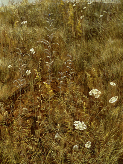 Plants