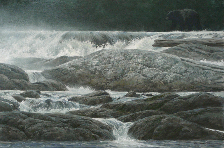 Black Bear at Rapids