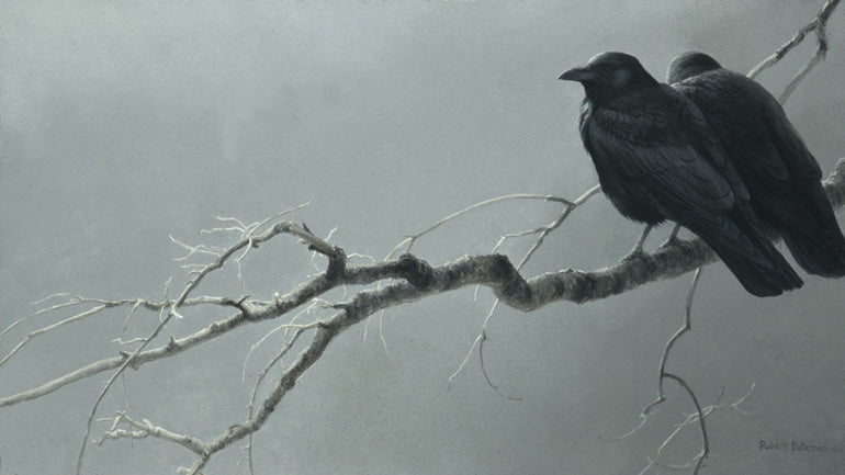 Crow Companions