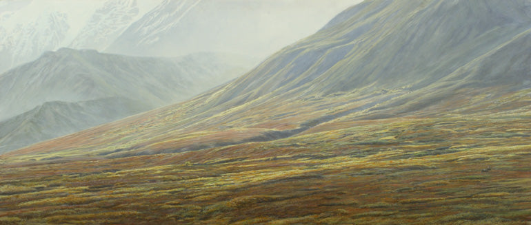 Denali Sweep