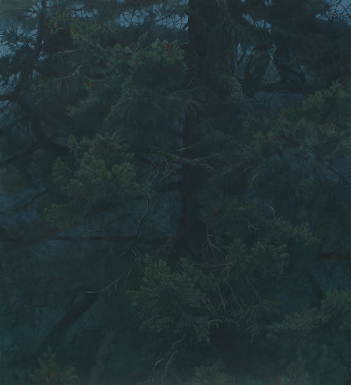 Raven Roost