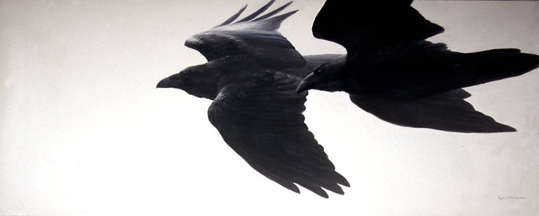 Reconciliation, Ravens