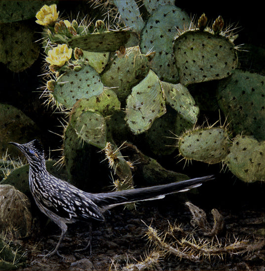 Road Runner