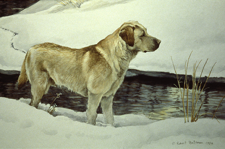 Soames