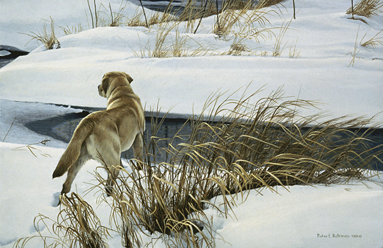 Winter Companion – Yellow Labrador