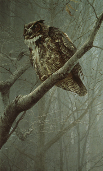 Winter Mist - Great Horned Owl