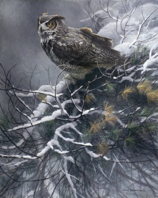 Winter Pine - Great Horned Owl