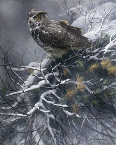 Winter Pine - Great Horned Owl