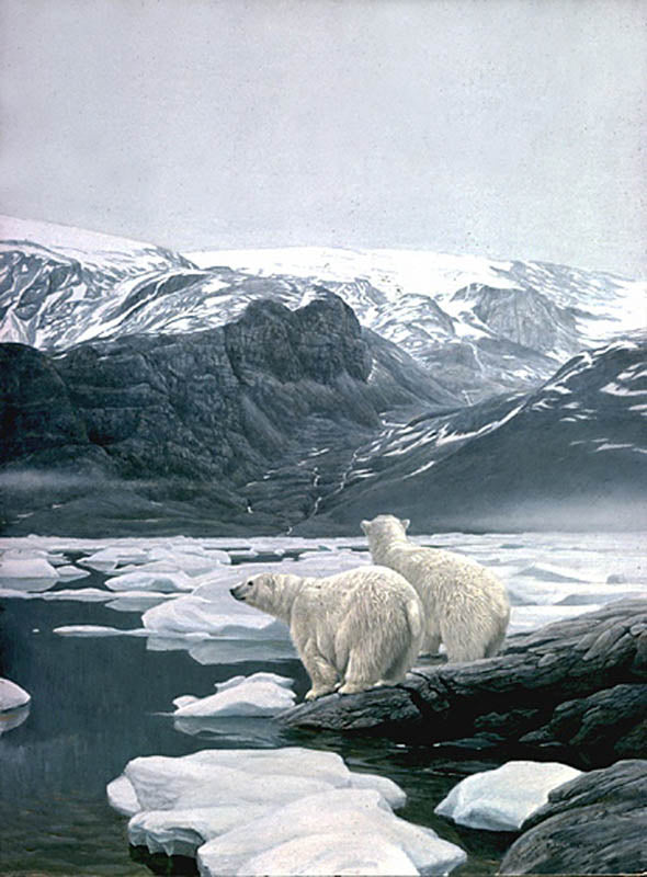 Arctic