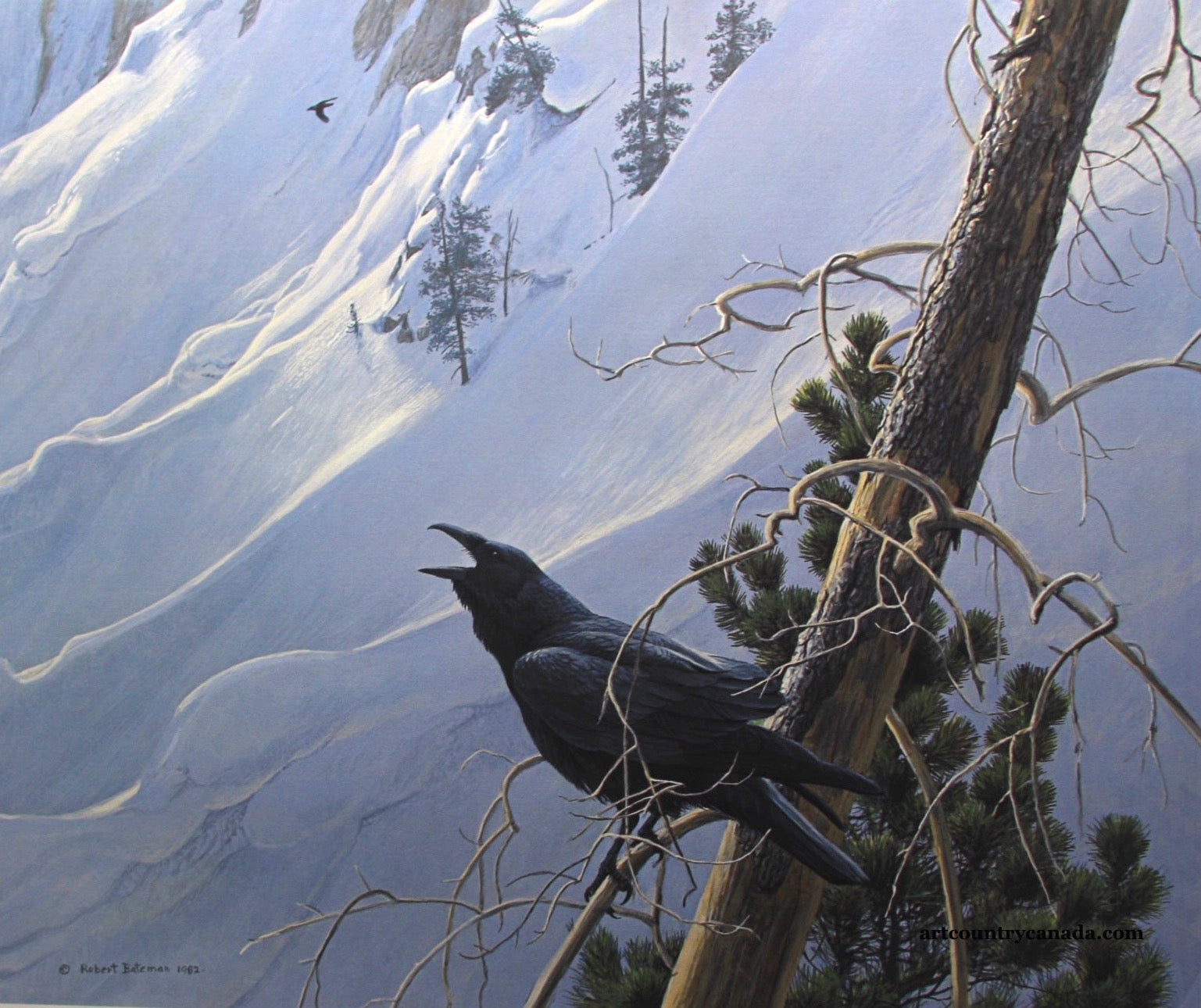 Winter in the Mountains - Raven