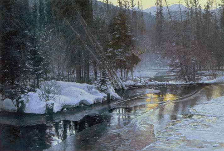 Winter Sunset - Moose