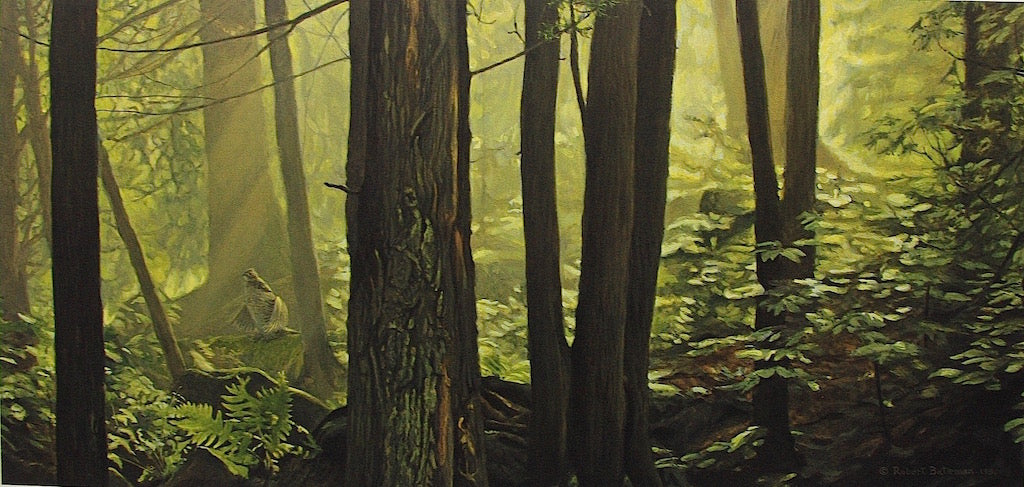 Woodland Drummer - Ruffed Grouse