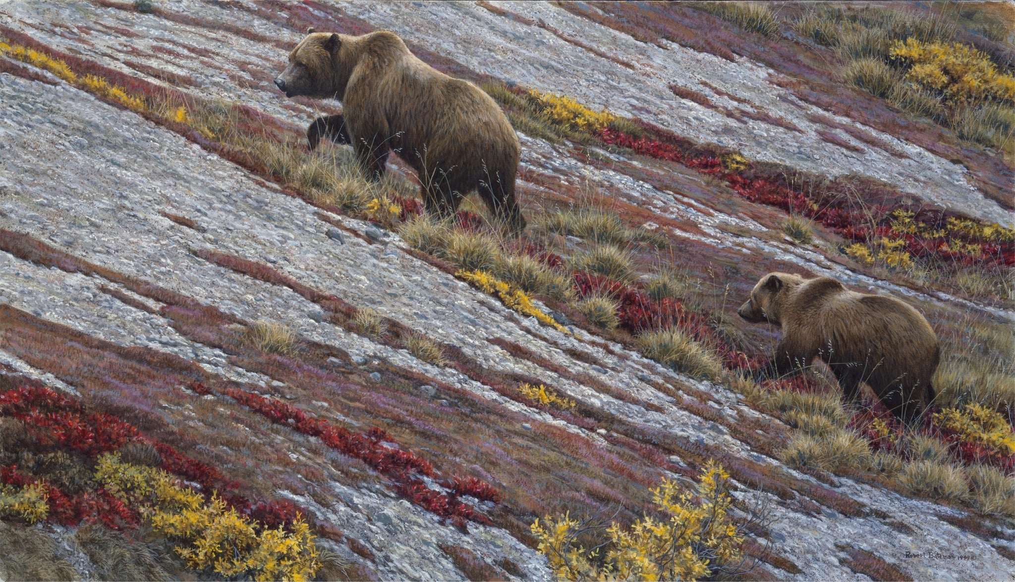 Alaskan Autumn - Grizzlies