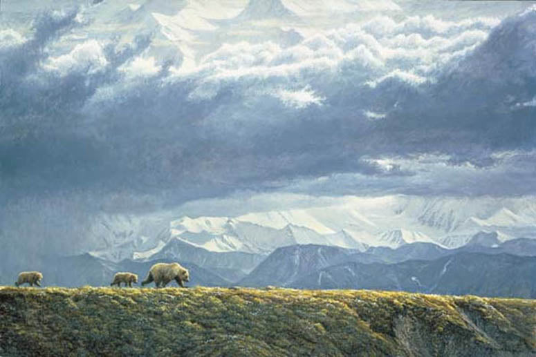 Along the Ridge - Grizzly Bears