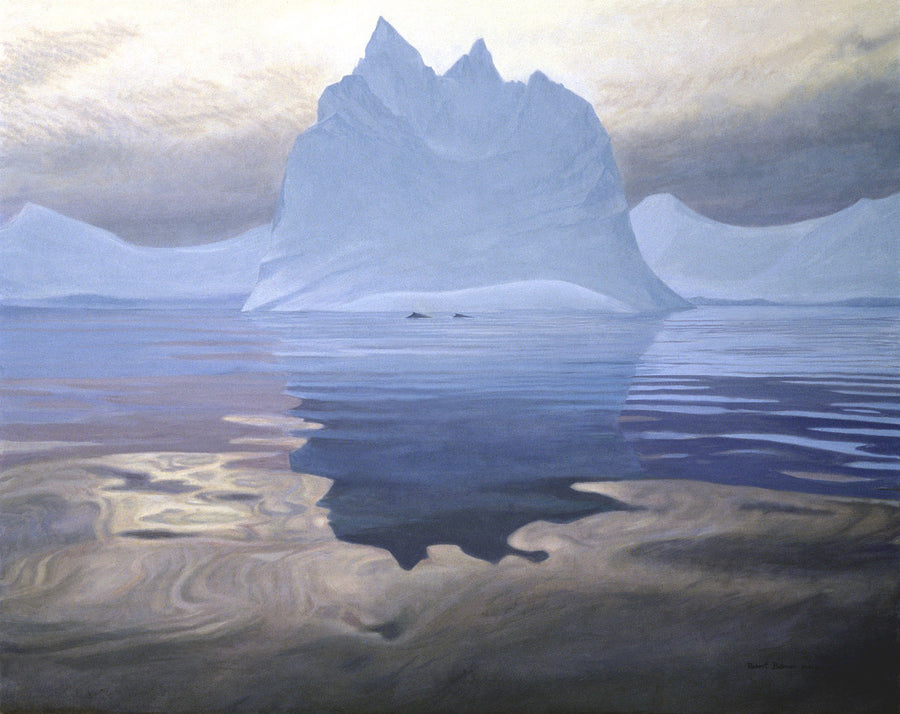 Antarctic Evening - Humpback Whales