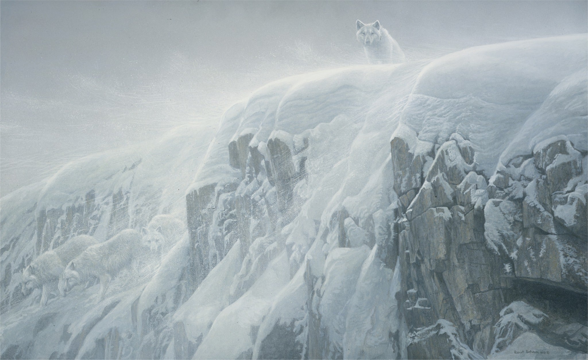 Arctic Cliff - White Wolves