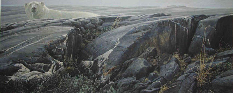 Arctic Landscape - Polar Bear