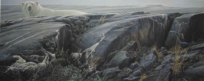 Arctic Landscape - Polar Bear