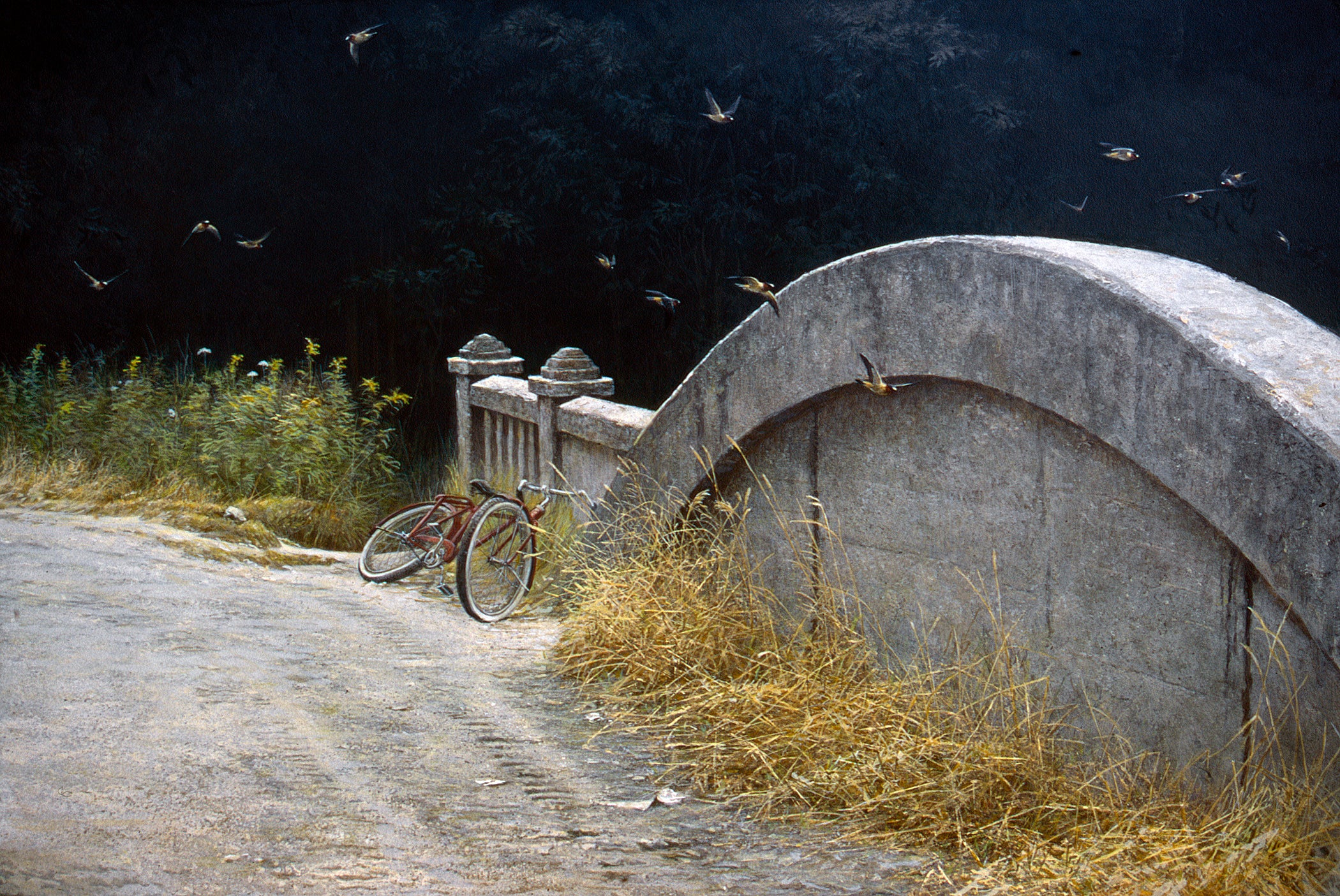 At the Bridge - Cliff Swallows